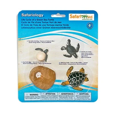 Imagen de Safari Ltd. El Ciclo de Vida una Tortuga Marina Verde Animales Contiene 4 figuras juguete No tóxico y libre BPA Apto para Niños 3+, Multicolor, 43.9 cms (662316)