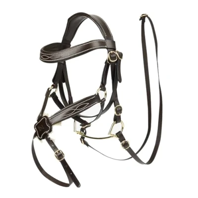 Imagen de LeMieux Hobby Horse bridle grackle