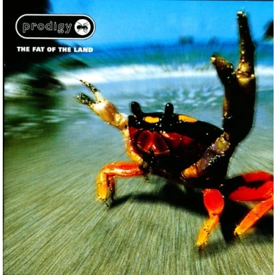 Imagen de Fat of the Land [Vinilo]