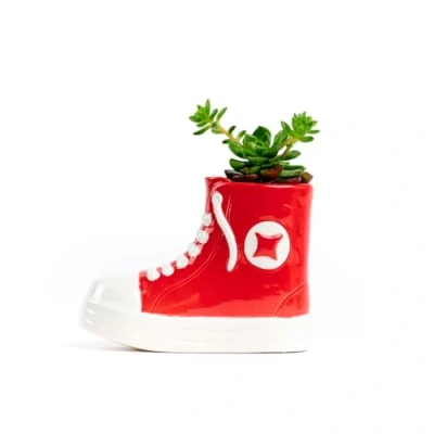 Imagen de All Plant Maceta Milimetrado Zapatilla Rojo