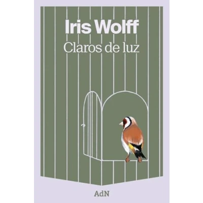 Imagen de Claros De Luz