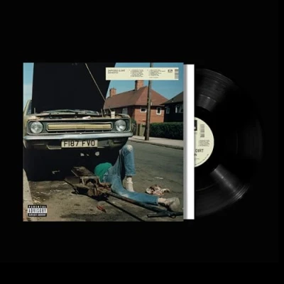Imagen de Daffodils &amp; Dirt Vinilo Sam Morton