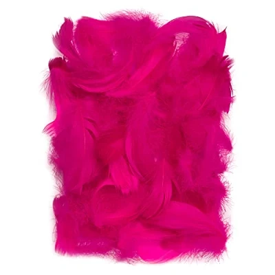Imagen de Netuno 150 Plumas Decorativas Rosa Oscuro 10g Manualidades Decoración Atrapasueños Fiestas Pascua Navidad Bricolaje Hogar Bodas Cumpleaños Decoraciones Árbol Mesas Proyectos Creativos