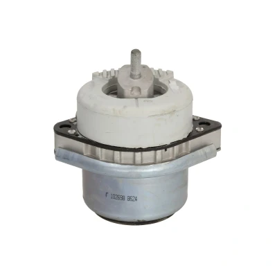 Imagen de FEBI BILSTEIN 102698 Soporte de motor ambos lados hidráulico con tapa contra salpicaduras BMW: X5