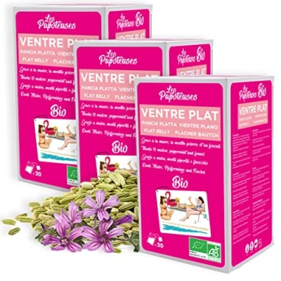 Imagen de LES PAPOTEUSES Infusion vientre plano con la malva, menta y el hinojo 60 bolsitas Caja de 3 confecciones 20 Certificado orgánico Relajante para abdomen mujer hombre