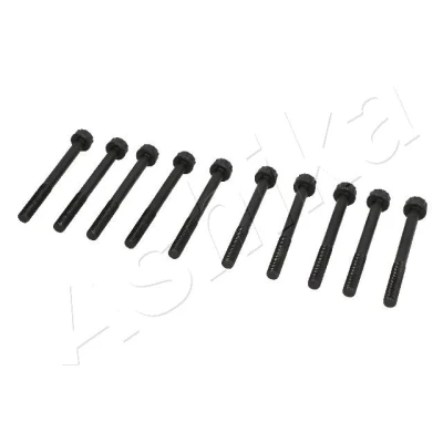 Imagen de Tornillo de culata ASHIKA 115 0K K02
