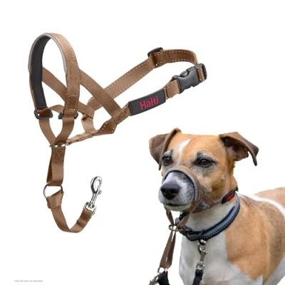 Imagen de Collar Ronzal HALTI para Evitar Que tu Perro Tire de la Correa, Ajustable con Banda Nariz Acolchada. Adiestramiento canino antitirones Perros pequeños (Talla 1, Arena del Desierto)