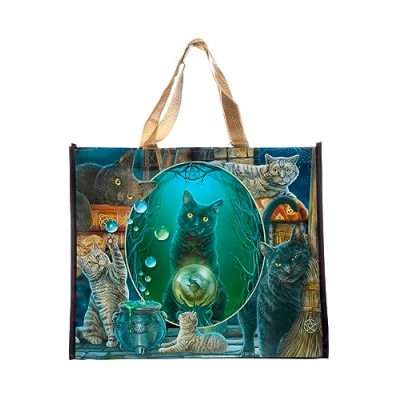Imagen de Puckator Sac de Courses Lisa Parker Chat Magique Bolsas la Compra Reutilizables, Multicolor, único