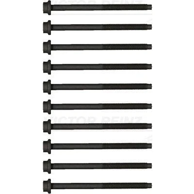 Imagen de REINZ 14 20348 01 Juego de Tornillos Culata Torx interior FORD: Focus Mk4 Hatchback