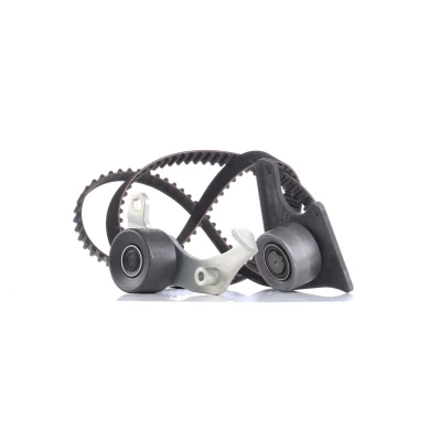 Imagen de INA 530 0096 10 Kit de correa distribución 136 con material montaje añadido PEUGEOT: 405 II Berlina, 406 Partner I Combispace norauto,