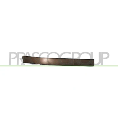 Imagen de PRASCO BM0181243 Listón embellecedor/protector, parachoques Delante, derecha BMW: 3 Berlina, Touring