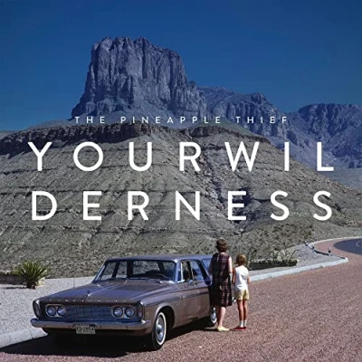 Imagen de Your Wilderness [Vinilo]
