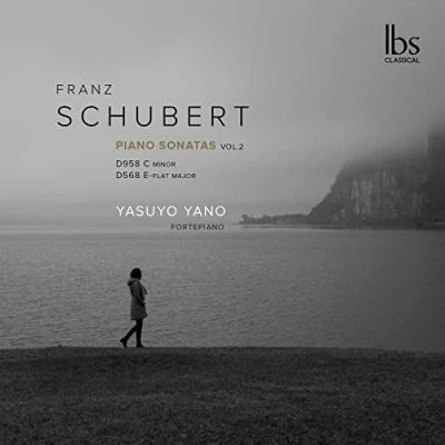 Imagen de Schubert Fortepiano Sonatas Franz