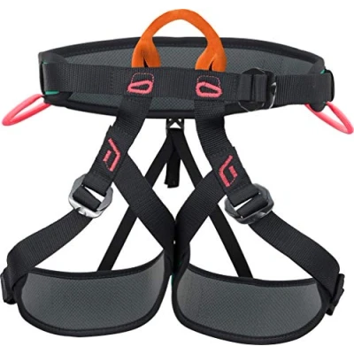 Imagen de Climbing Technology Explorer W Arnés, Unisex Adulto, Verde Negro Rosa, Talla única