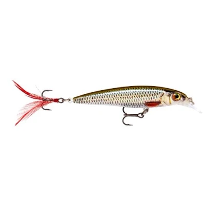Imagen de Rapala X Rap 8cm Live Roach Curricán