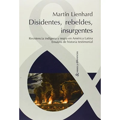 Imagen de Disidentes, rebeldes, insurgentes. Resistencia indígena y Negra En América Latina.: Ensayos de Historia testimonial: Indigena ... Testimonial (Nexos diferencias)