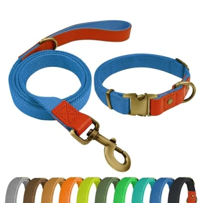 Imagen de Qianruida Juego de collar y correa para perros, ajustable, perros pequeños, medianos grandes, azul cielo, XL