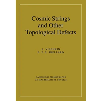 Imagen de Cosmic strings and other topological defects
