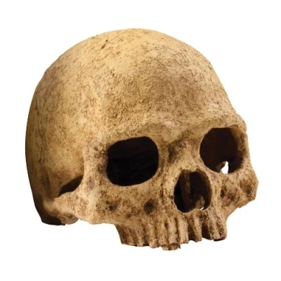 Imagen de Exo Terra Cueva Cráneo de Primate