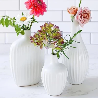 Imagen de Jarrones Blancos Minimalistas de cerámica Texturizada (Juego 3) Bohemios para Hierba Las Pampas, eucalipto, Flores secas y Plantas decoración estantes, repisa,