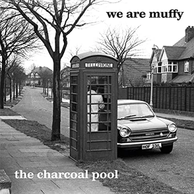 Imagen de The Charcoal Pool [Vinilo]