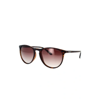 Imagen de Polaroid PLD 6003/N/S LA V08, Gafas de sol, Unisex adulto, Marrón (Havana/Brown Sf Pz), 54