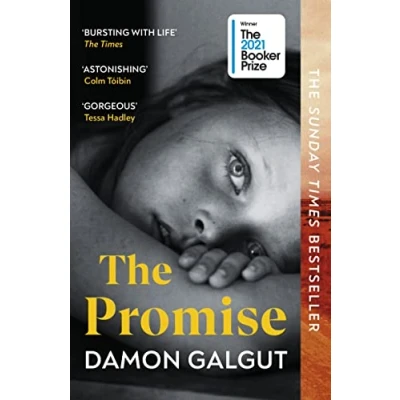 Imagen de The Promise (booker Prize 2021)