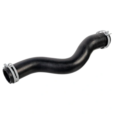 Imagen de FEBI BILSTEIN 178469 Manguitos de Radiador arriba EPDM (Ethylen Propylen Dien Caucho) con abrazaderas CITROËN: Jumpy II MPV, C8, PEUGEOT: 807