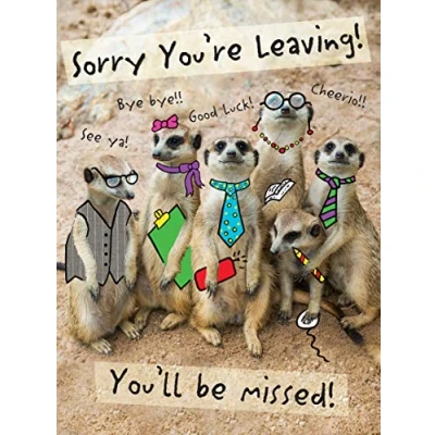 Imagen de Piccadilly Greetings Tarjeta grande moderna de 30,5 x 22,8 cm