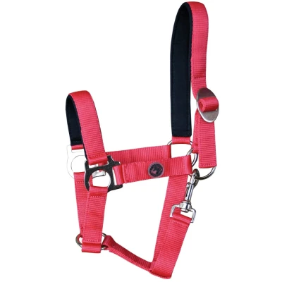 Imagen de Harry&#039;s Horse Cabestro bridoonded Shetland Rojo