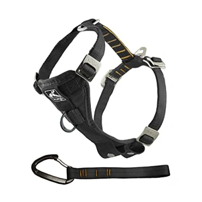Imagen de Kurgo Tru Fit Arnés para Perro, de Paseo Perros, Anillo en D Entrenamiento sin Tirones, Incluye Mosquetón Seguridad Negro, L