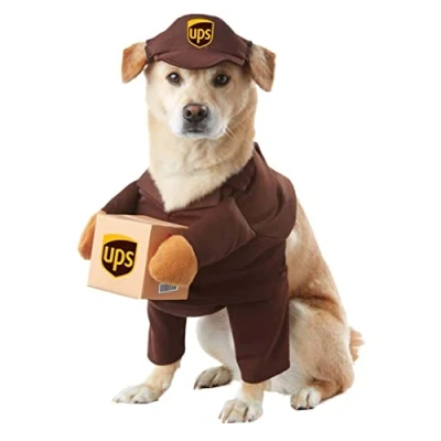Imagen de California Costumes Pet Ups Disfraces para Perro, Color marrón, Talla L