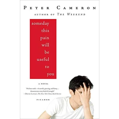 Imagen de Someday this pain will be useful to you