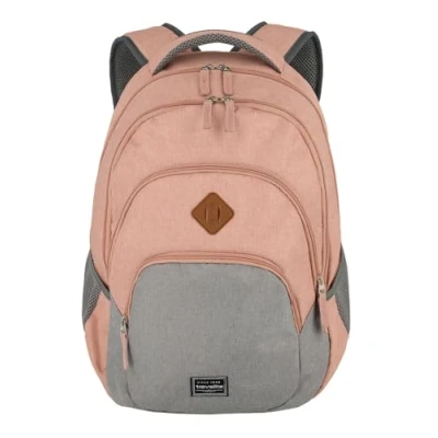 Imagen de travelite Mochila, equipaje de mano con compartimento para portátil 15,6 pulgadas, serie BASICS Daypack Melange:de moda aspecto melange, 45 cm, 22 litros