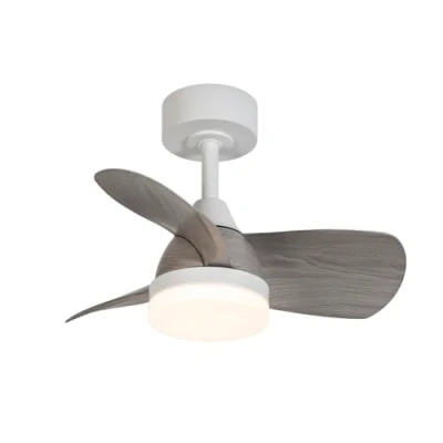 Imagen de Wonderlampp Ventilador de techo pequeño ø60cm LED Borse Mini CCT 3000 4000 6000K 18W con memoria encendido