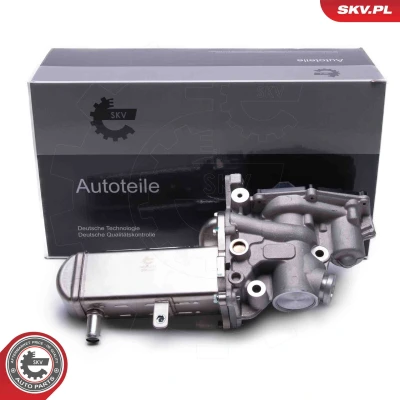 Imagen de ESEN SKV 14SKV241 Válvula EGR eléctrico con radiator RENAULT: MEGANE 2, SCENIC LAGUNA SUZUKI: Grand Vitara 2 SUV