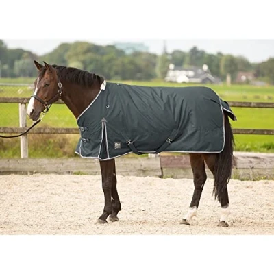 Imagen de Harry&#039;s Horse Outdoorrug Thor 300
