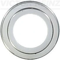 Imagen de REINZ 70 23062 00 Retenes de Válvulas PEUGEOT: J5 Camión plataforma/Chasis