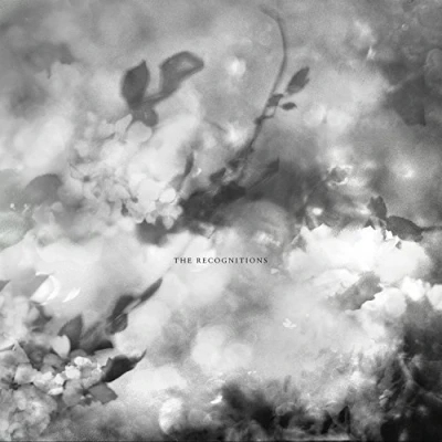 Imagen de The Recognitions [Vinilo]