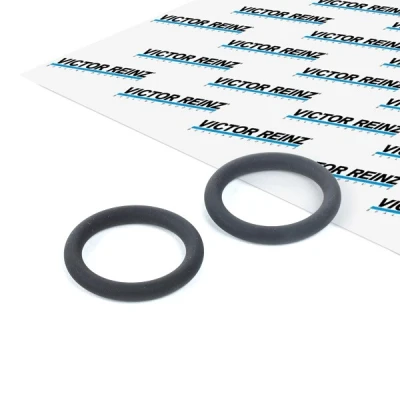 Imagen de REINZ 40 76246 00 Junta Colector de Admision FPM (caucho fluroado) PEUGEOT: 207 Hatchback, 206 307 CITROËN: C2 Hatchback