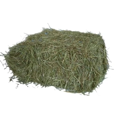 Imagen de agrar Store 7 kg heno prado 1.Cut de conejo cobayas paja