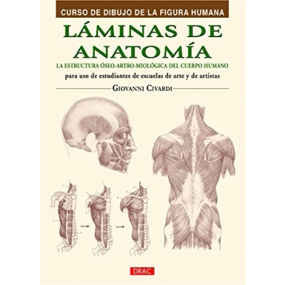 Imagen de Curso DE DIBUJO LA FIGURA Humana. Láminas Anatomía: estructura óseo artro miológica del cuerpo humano (CURSO HUMANA)