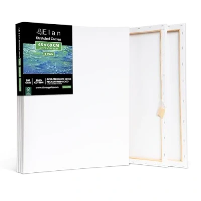 Imagen de Elan Lienzos Preestirados 45x60, 6 PACK 100% Algodón para Pintar Grandes, Canvas Pintar, Enmarcados, Tela Pintura, Lienzo Grande, Blanco