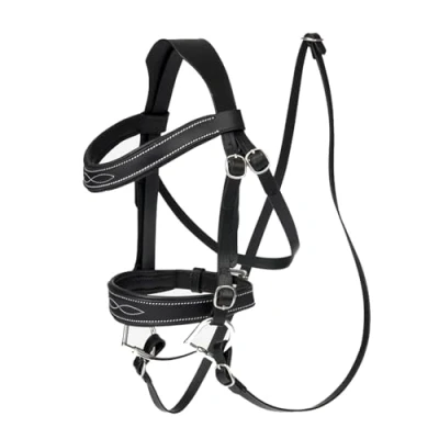 Imagen de LeMieux Hobby Horse bridle competition