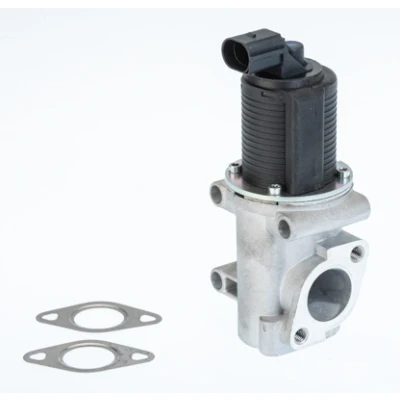 Imagen de WAHLER 710774D Válvula EGR eléctrico con junta FIAT: Doblo I Familiar, Cargo, Stilo Hatchback, ALFA ROMEO: 147, 156 Sportwagon, Berlina
