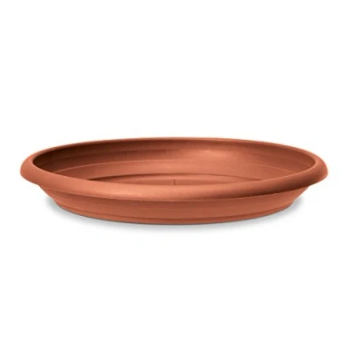 Imagen de Scheurich 53168 0 331/37 Terracota Plato