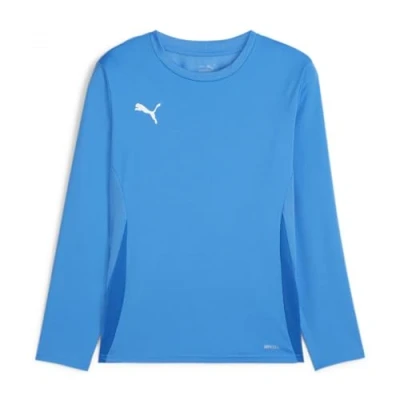 Imagen de PUMA Team Goal LS Jersey Jr