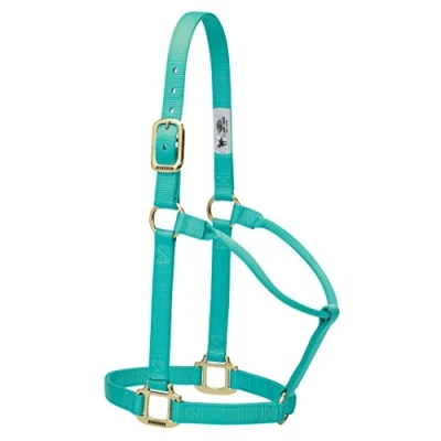 Imagen de Weaver Leather Original Cabestro no Ajustable, para Caballos de Nailon, tamaño pequeño, Color Menta, 35 7004 MT, S Horse