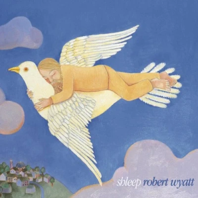 Imagen de Shleep [Vinilo]