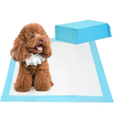 Imagen de Barpor Empapadores Perros 60x60cm Desechables 20 Unidades Almohadillas Higiénica Absorbentes para Cachorros y Gatos Resistente a Prueba de Fugas con Superficie Secado Rápido